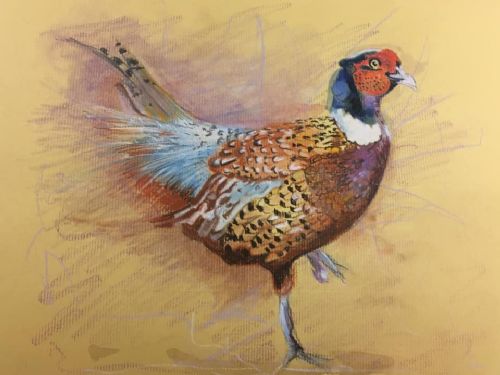 Original Painting of a Pheasant